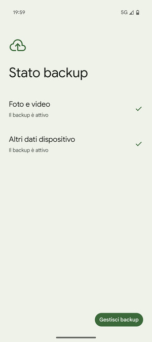 Seleziona Gestisci backup