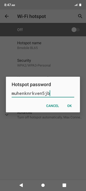 Enter a Wi-Fi hotspot password of at least 8 characters and select OK