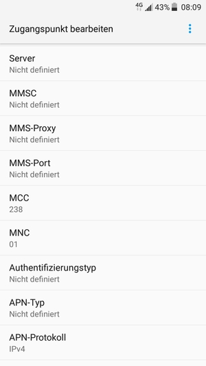Scrollen Sie nach unten und geben Sie Internetinformationen ein