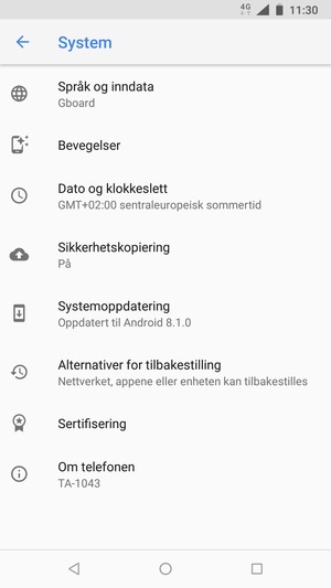 Velg Systemoppdatering