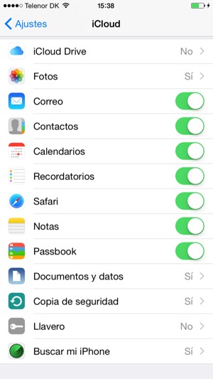 Seleccione los servicios de los que desea hacer copia de seguridad