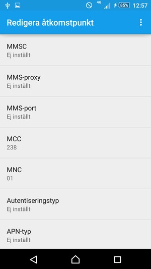 Scrolla ner och ange internetinformation