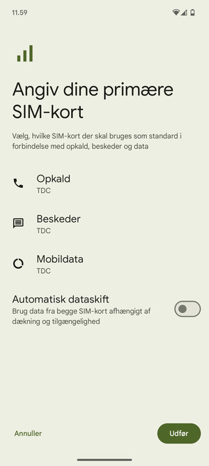 Vælg dine foretrukne muligheder og vælg Udfør