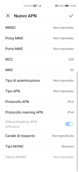 Scorri verso il basso e inserisci le informazioni di internet