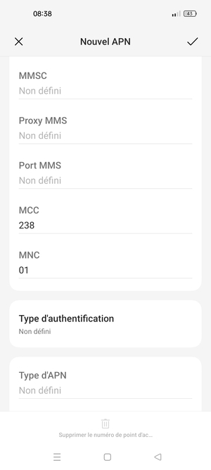 Faites défiler vers le bas et saisissez les informations Internet