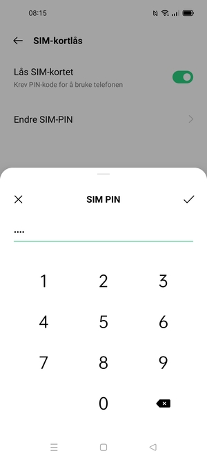 Skriv inn gjeldende PIN-kode for dette SIM-Kort og velg OK