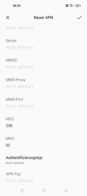 Scrollen Sie nach unten und geben Sie Internetinformationen ein