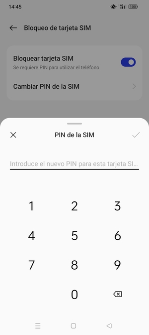 Confirme su nuevo PIN de la SIM y seleccione Aceptar