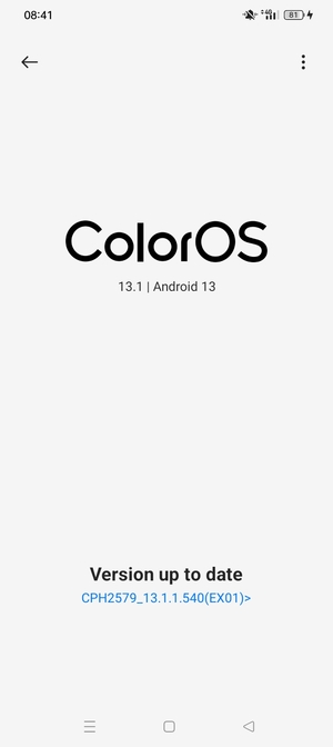 If your phone is up to date, you will see the following screen