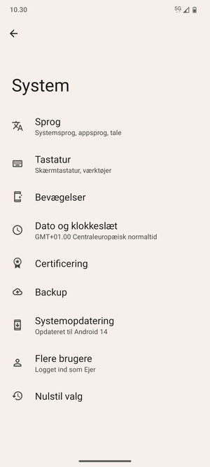 Vælg Systemopdatering