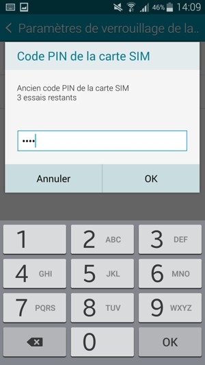 Saisissez votre Ancien code PIN de la carte SIM et sélectionnez OK