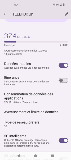 Faites défiler et sélectionnez Type de réseau préféré