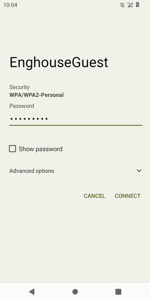 Enter the Wi-Fi password and select CONNECT