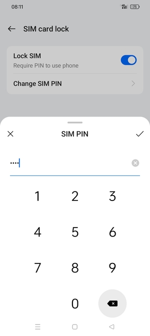 Enter your Current PIN for the SIM card and select OK