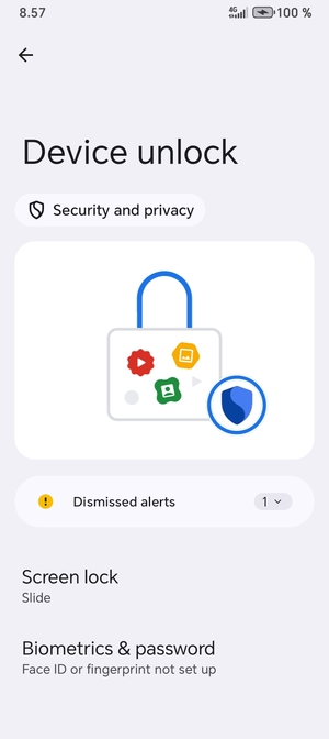 Select Screen lock