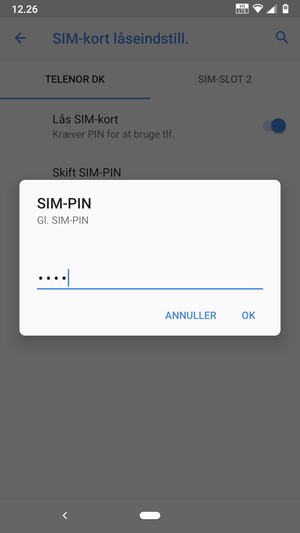 Indtast din Gammel SIM-PIN og vælg OK