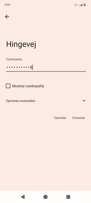 Introduzca la contraseña de Wi-Fi y seleccione Conectar