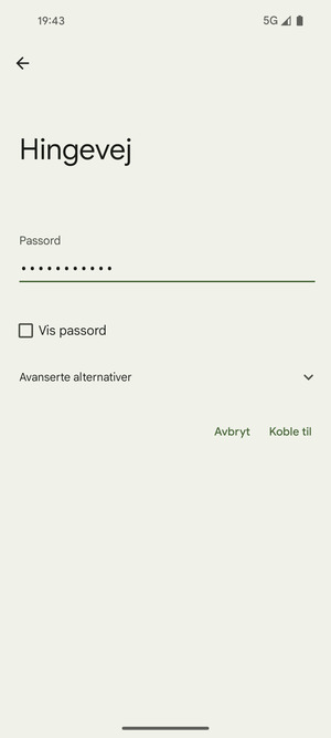 Skriv inn Wi-Fi-passord og velg Koble til