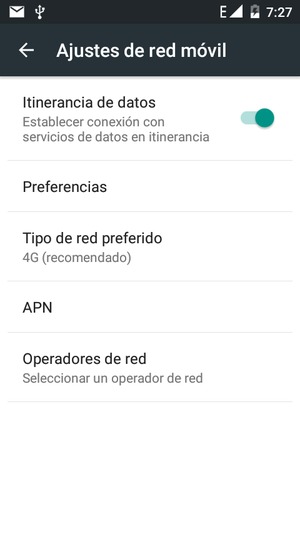 Activar o desactivar Itinerancia de datos