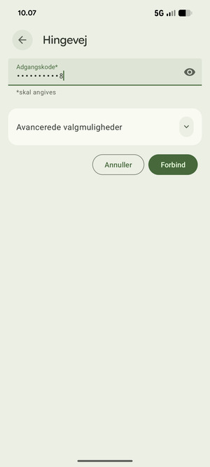 Indtast Wi-Fi adgangskoden og vælg Forbind
