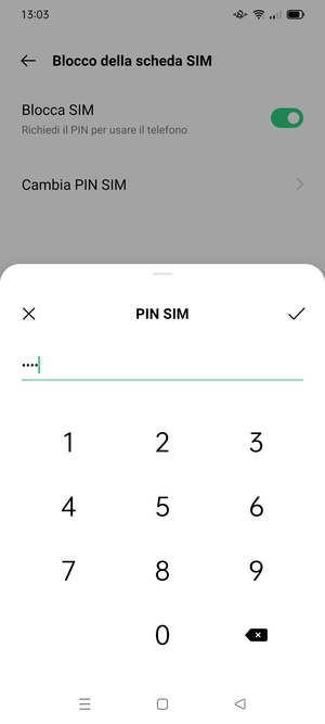 Inserisci PIN attuale scheda SIM e seleziona OK