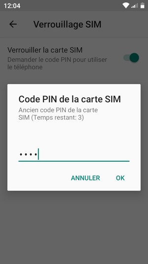 Saisissez votre Ancien code PIN de la carte SIM et sélectionnez OK