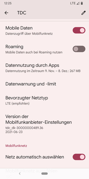 Scrollen Sie und wählen Sie Bevorzugter Netztyp
