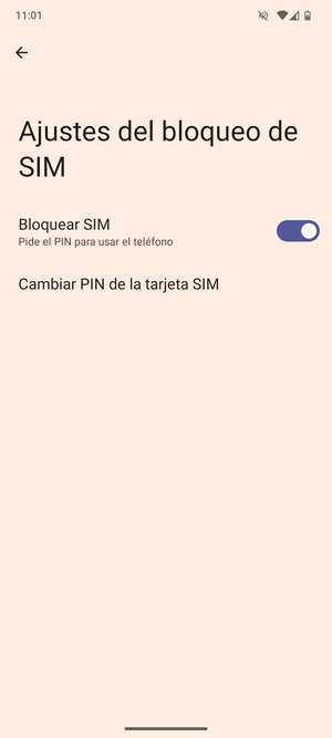 Seleccione  Cambiar PIN de la tarjeta SIM