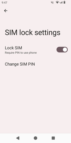 Select Change SIM PIN