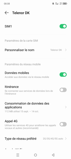 Faites défiler et sélectionnez Type de réseau préféré