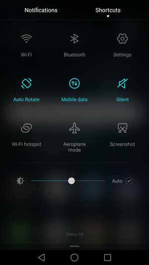 Check the Auto checkbox