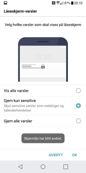 Velg ønsket alternativ og velg OK