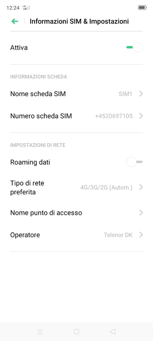 Seleziona Tipo di rete preferita