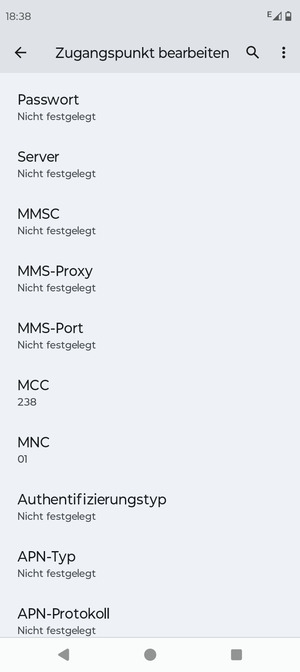 Scrollen Sie nach unten und geben Sie MMS-Informationen ein