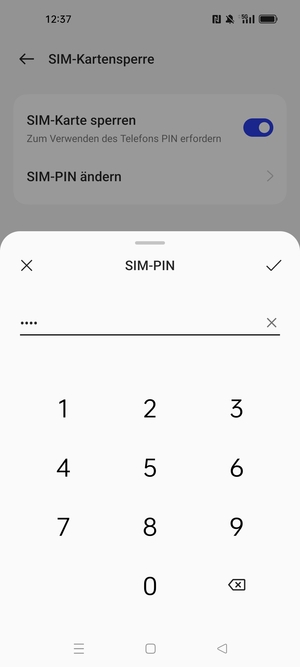 Geben Sie Aktuelle PIN für die SIM-Karte ein und wählen Sie OK