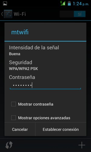 Introduzca la contraseña de Wi-Fi y seleccione Establecer conexión