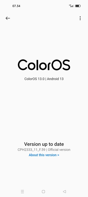 If your phone is up to date, you will see the following screen