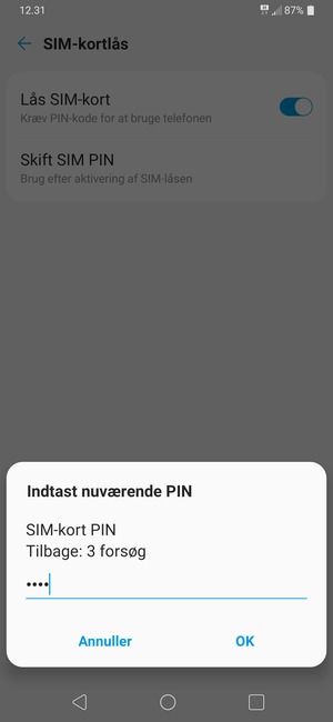 Indtast din Nuværende SIM-kort PIN og vælg OK