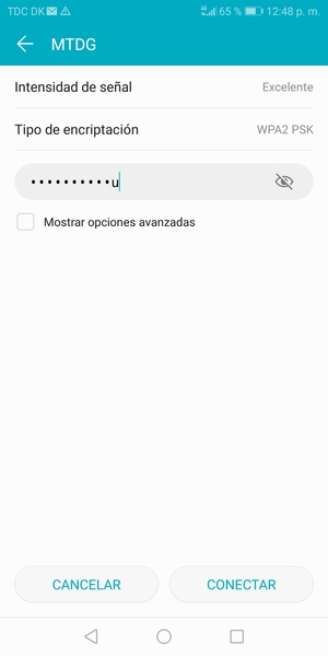 Introduzca la contraseña de Wi-Fi y seleccione CONECTAR