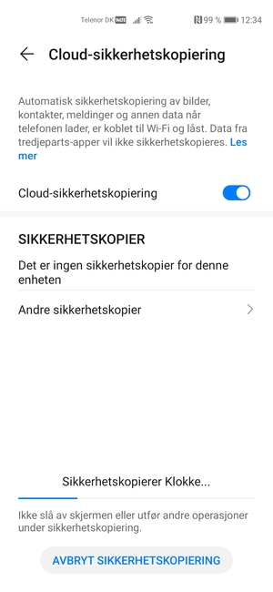Vent til sikkerhetskopieringen er ferdig