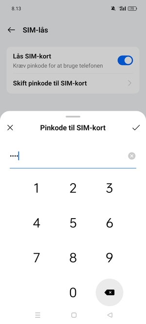 Indtast din Nye PIN-kode til SIM-kort og vælg OK