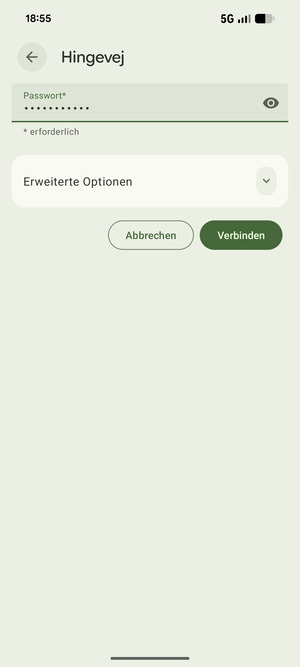 Geben Sie das WLAN-Passwort ein und wählen Sie Verbinden