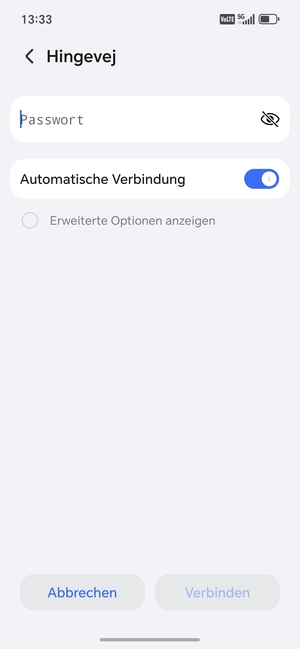 Geben Sie das WLAN-Passwort ein und wählen Sie Verbinden