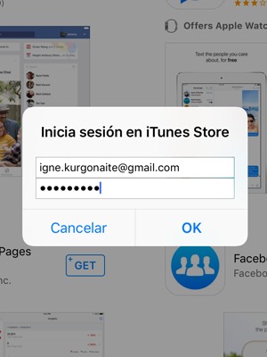 Introduzca Nombre de usuario ID de Apple y Contraseña del ID de Apple. Seleccione OK