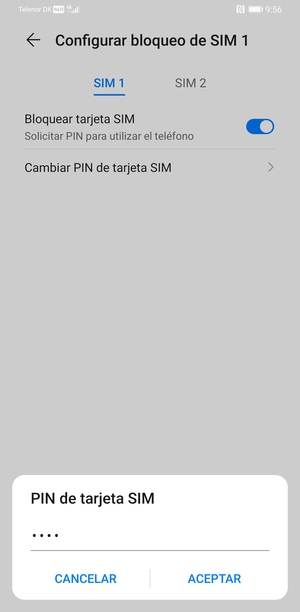 Introduzca su Antiguo PIN de tarjeta SIM y seleccione ACEPTAR