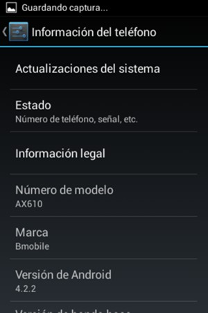 Seleccione Actualizaciones del sistema