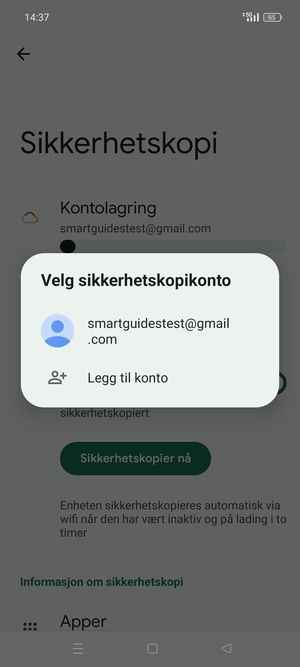 Velg sikkerhetskopi-kontoen din