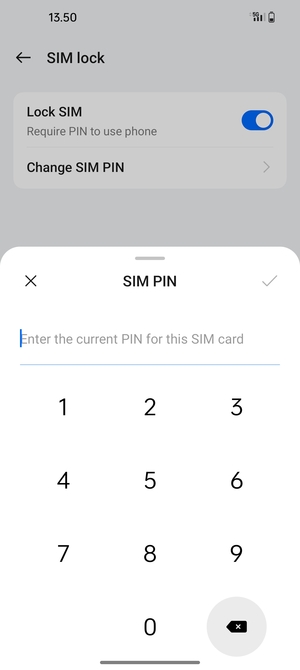 Enter your Current SIM PIN and select OK