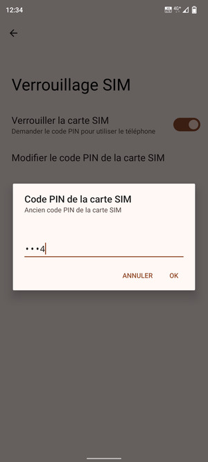Saisissez Ancien code PIN de la carte SIM et sélectionnez OK