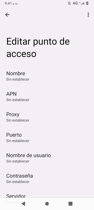 Introduzca la información de Internet
